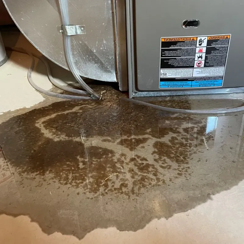 Pipe Burst and Leak Restoration in Warren County, NJ