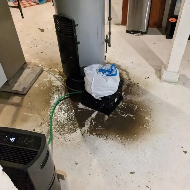 Sewage Backup Cleanup Service in Warren County, NJ